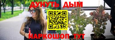 МДПВ Новодвинск